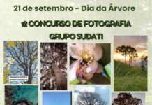 CONCURSO DE FOTOGRAFIA SUDATI – DIA DA ÁRVORE