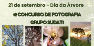CONCURSO DE FOTOGRAFIA SUDATI – DIA DA ÁRVORE