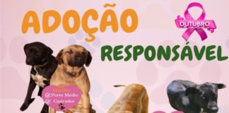 ADOÇÃO RESPONSÁVEL
