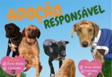 ADOÇÃO RESPONSÁVEL