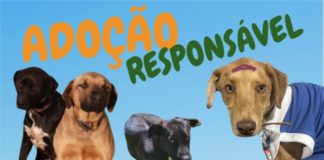 ADOÇÃO RESPONSÁVEL