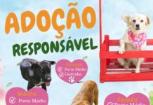 ADOÇÃO RESPONSÁVEL