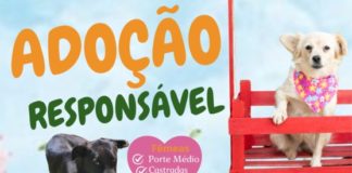 ADOÇÃO RESPONSÁVEL
