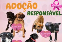 ADOÇÃO RESPONSÁVEL