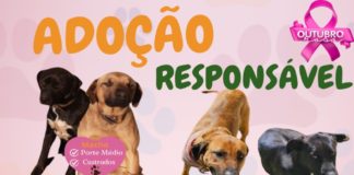 ADOÇÃO RESPONSÁVEL