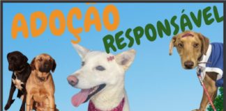 ADOÇÃO RESPONSÁVEL