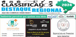 CLASSIFICADOS DESTAQUE REGIONAL 22/11