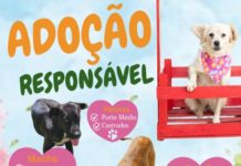 ADOÇÃO RESPONSÁVEL