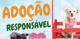 ADOÇÃO RESPONSÁVEL