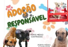 ADOÇÃO RESPONSÁVEL