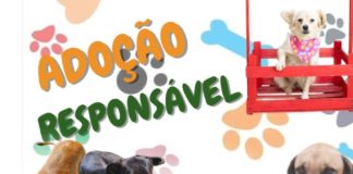 ADOÇÃO RESPONSÁVEL