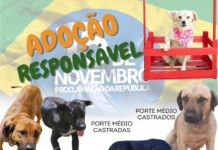 ADOÇÃO RESPONSÁVEL