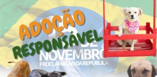 ADOÇÃO RESPONSÁVEL
