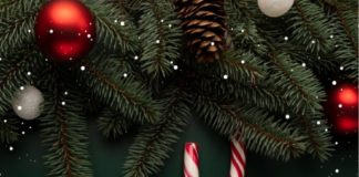 Escritório de Advocacia Fabiana Bozz