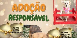 ADOÇÃO RESPONSÁVEL
