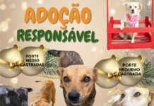 ADOÇÃO RESPONSÁVEL