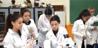 IFPR Campus Palmas é selecionado para participar do PISA 2025
