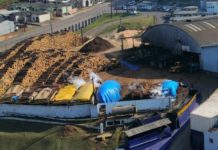 Processo de Cozimento de Toras na Sudati: Compromisso com a Sustentabilidade e a Qualidade
