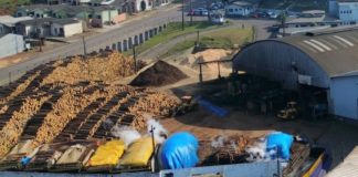 Processo de Cozimento de Toras na Sudati: Compromisso com a Sustentabilidade e a Qualidade
