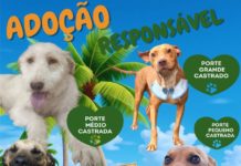 ADOÇÃO RESPONSÁVEL