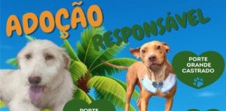 ADOÇÃO RESPONSÁVEL