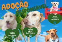 ADOÇÃO RESPONSÁVEL