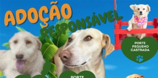 ADOÇÃO RESPONSÁVEL