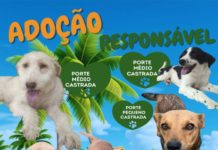 ADOÇÃO RESPONSÁVEL