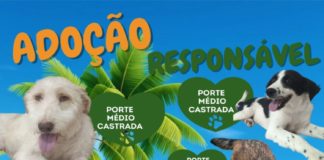 ADOÇÃO RESPONSÁVEL