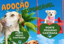 ADOÇÃO RESPONSÁVEL