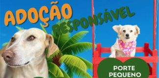 ADOÇÃO RESPONSÁVEL