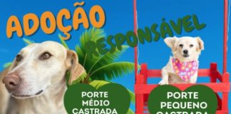 ADOÇÃO RESPONSÁVEL