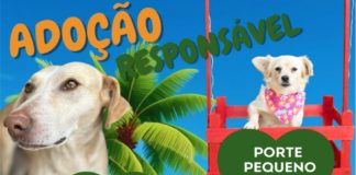 ADOÇÃO RESPONSÁVEL