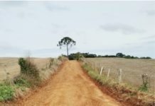 Prefeitura de Domingos Soares segue trabalhando para melhorar as estradas rurais do município