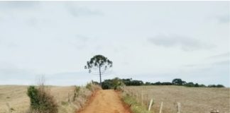 Prefeitura de Domingos Soares segue trabalhando para melhorar as estradas rurais do município