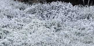 OS DOIS LADOS DO FRIO EM PALMAS