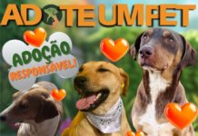 ADOTE UM PET