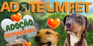 ADOTE UM PET