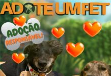 ADOTE UM PET