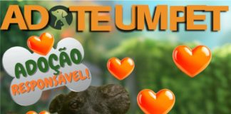 ADOTE UM PET