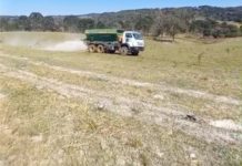Departamento de Agricultura de Coronel Domingos Soares realiza trabalho de espalhamento de calcário para fortalecer a produção rural