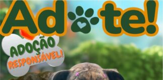 ADOTE UM PET