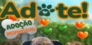 ADOTE UM PET!