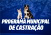 Município inicia Programa de Castração Municipal com prioridade para animais em situação de rua