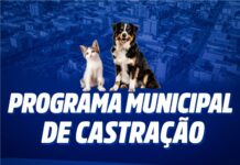 Município inicia Programa de Castração Municipal com prioridade para animais em situação de rua