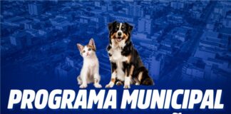 Município inicia Programa de Castração Municipal com prioridade para animais em situação de rua