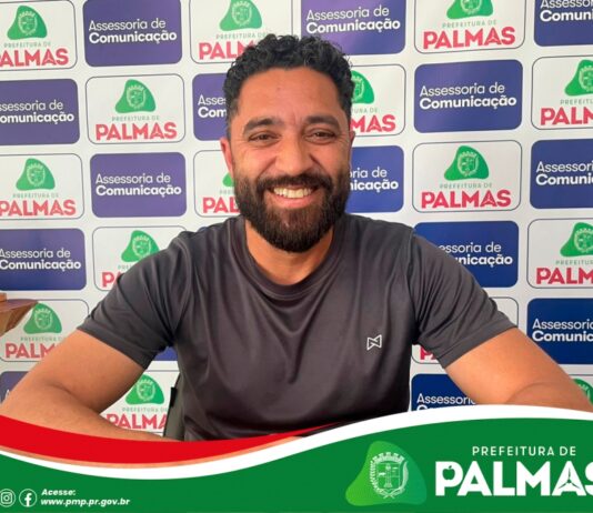 Palmas atinge marca histórica e é a número 1 da regional sudoeste em geração de emprego