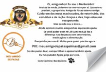 MEU AMIGO DE PATAS