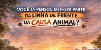 VOCÊ JÁ PENSOU EM FAZER PARTE DA LINHA DE FRENTE DA CAUSA ANIMAL?