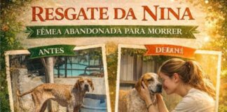 RESGATE DA NINA